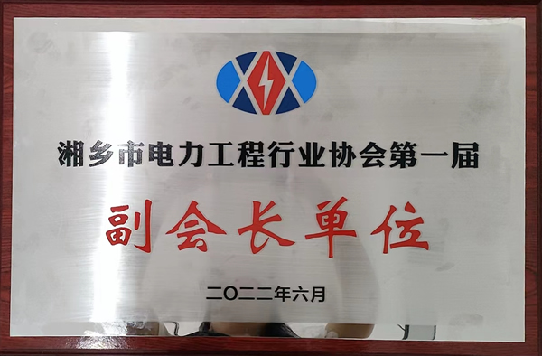 2022年湘鄉(xiāng)市電力工程行業(yè)協(xié)會(huì)第一屆副會(huì)長(zhǎng)單位