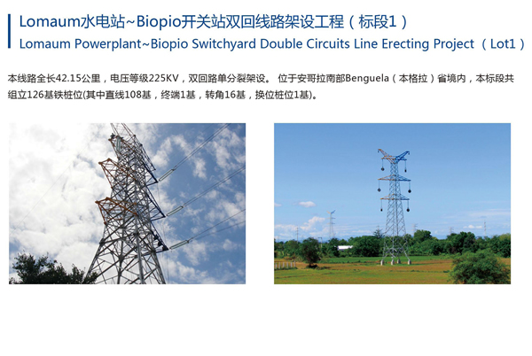 Lomaum水電站~Biopio開關(guān)站雙回線路架設(shè)工程（標(biāo)段1）